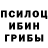 Галлюциногенные грибы Cubensis Trakerzot 05