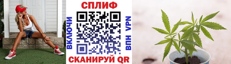 Бошки марихуана OG Kush  ссылка на мегу как зайти  Красноуральск 